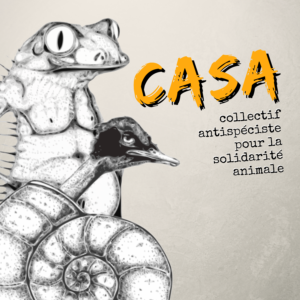 Logo du CASA, le collectif antispéciste pour la solidarité animale